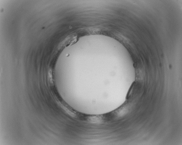 X0000078260238200611251336