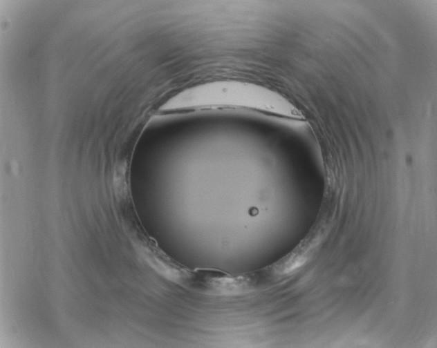 X0000078260239200611251336