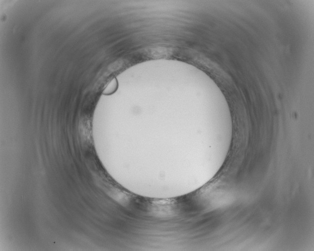 X0000078260240200611251336