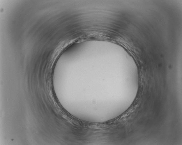 X0000078260241200611251335