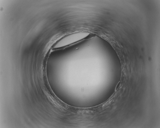 X0000078260242200611251335