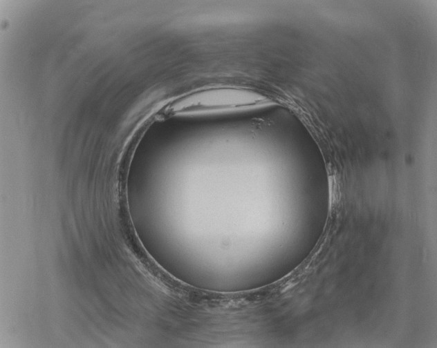 X0000078260243200611251335