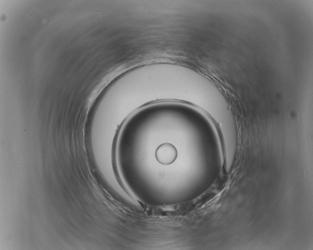 X0000078260244200611251335