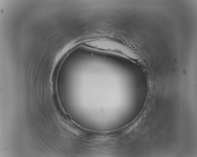 X0000078260246200611251335