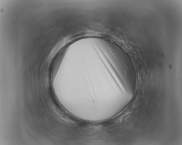 X0000078260247200611251335