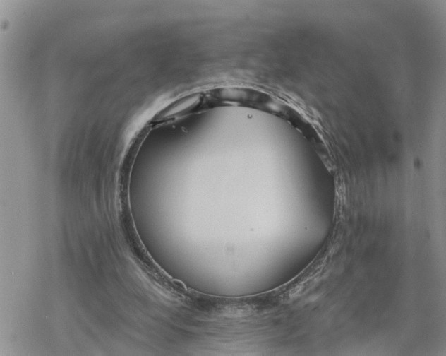 X0000078260248200611251335