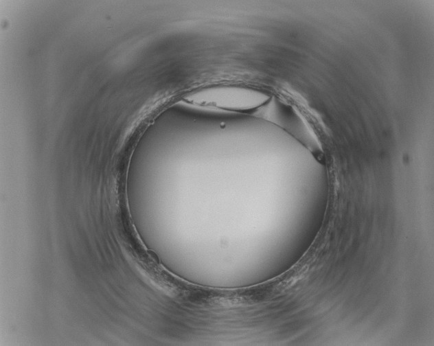 X0000078260250200611251335