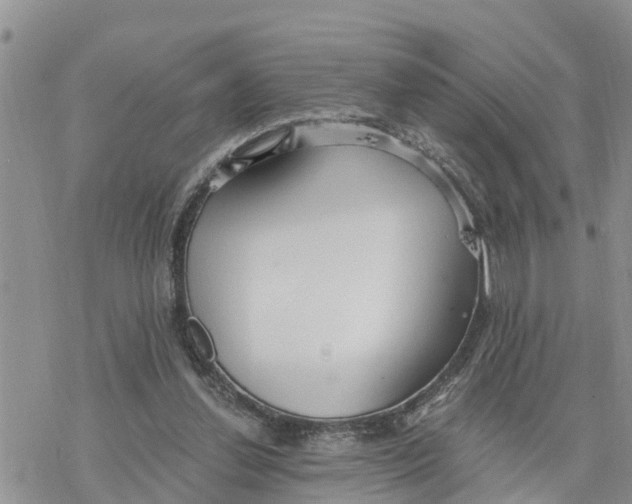 X0000078260252200611251336