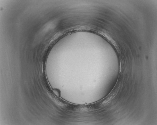 X0000078260253200611251336