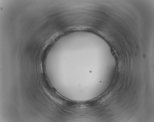 X0000078260254200611251336