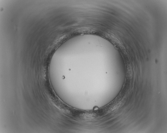 X0000078260255200611251336