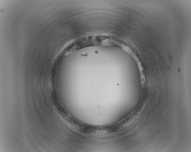 X0000078260256200611251336