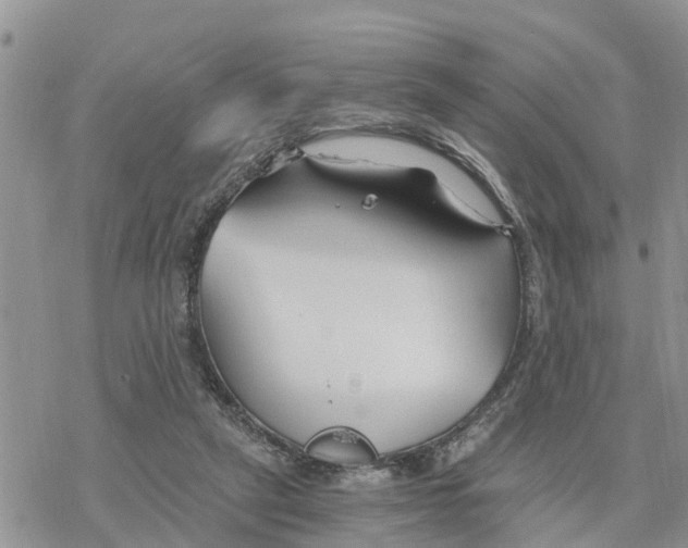 X0000078260257200611251336