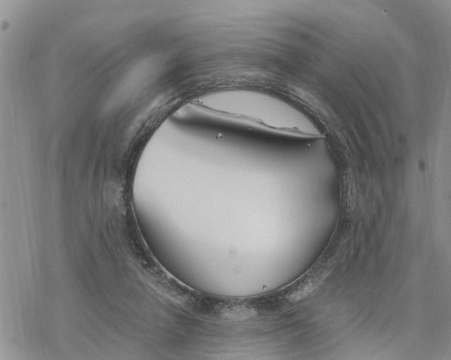 X0000078260258200611251336