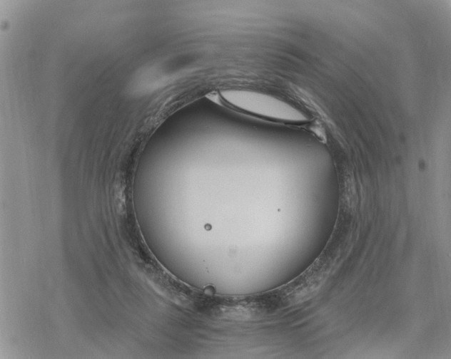 X0000078260259200611251336