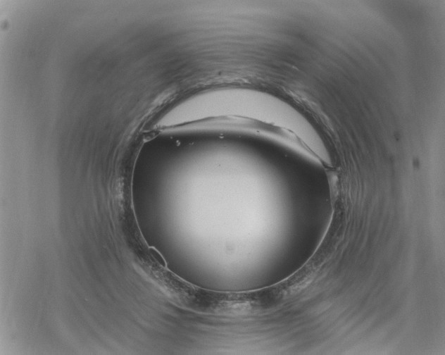 X0000078260260200611251336