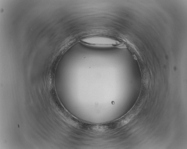 X0000078260261200611251336