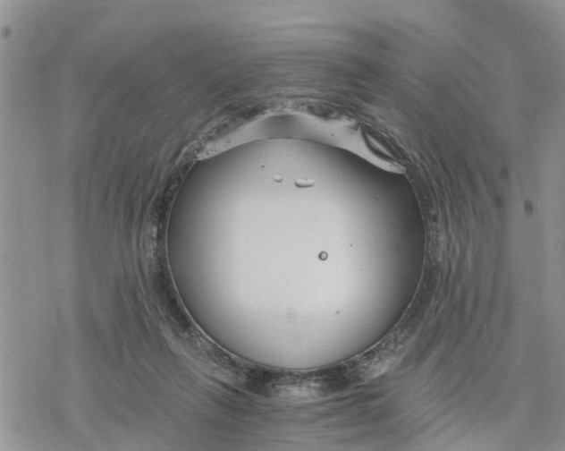 X0000078260263200611251336