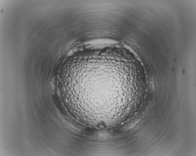 X0000078260264200611251336