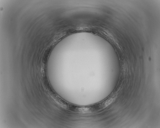 X0000078260265200611251336