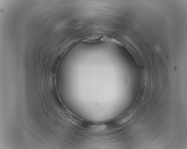 X0000078260266200611251336