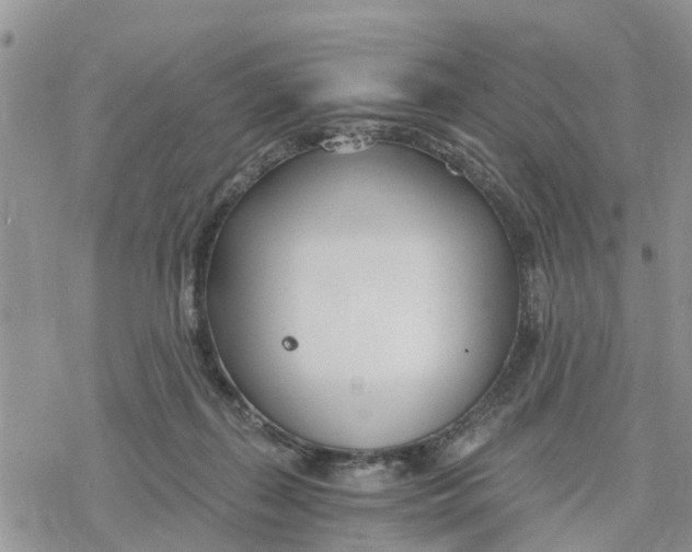 X0000078260267200611251336