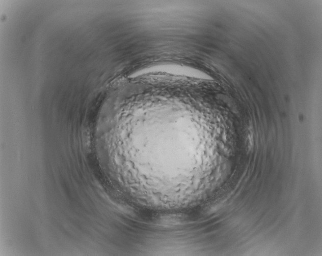 X0000078260268200611251336