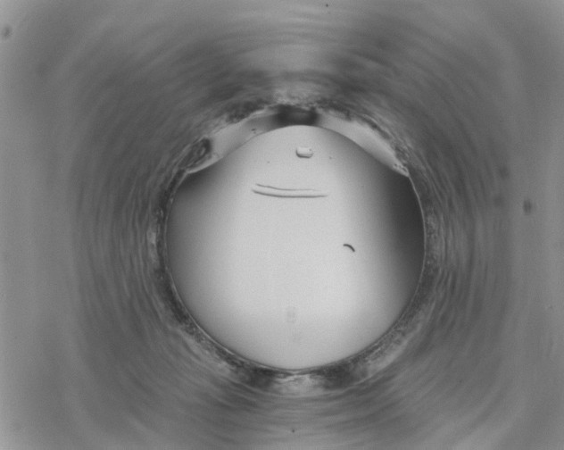 X0000078260269200611251336