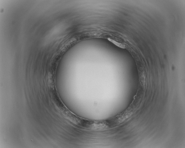 X0000078260270200611251336