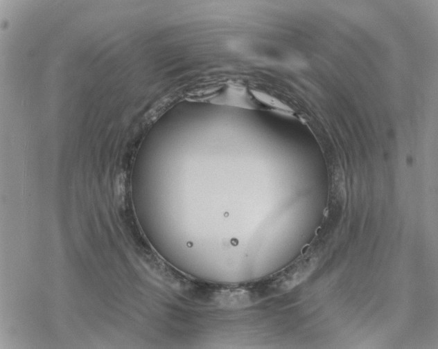 X0000078260271200611251336