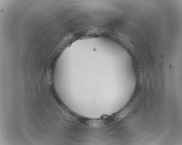 X0000078260273200611251336