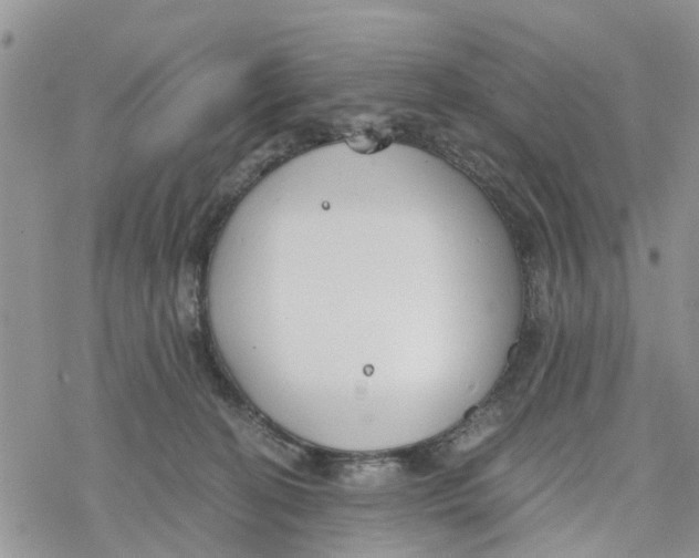 X0000078260274200611251336