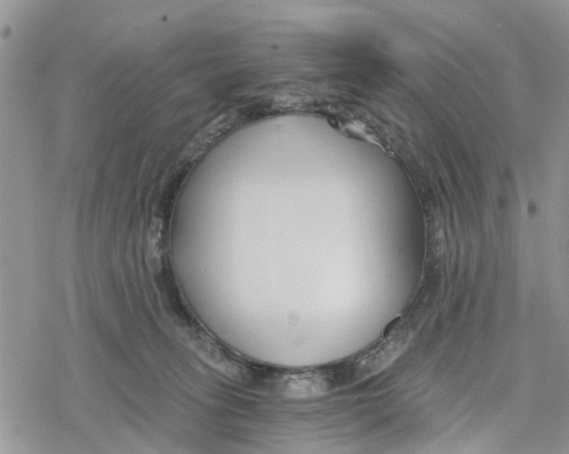 X0000078260275200611251336