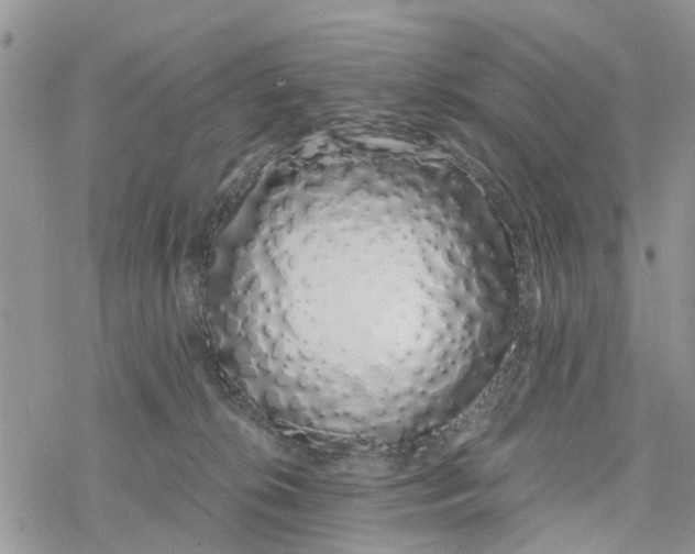 X0000078260276200611251336