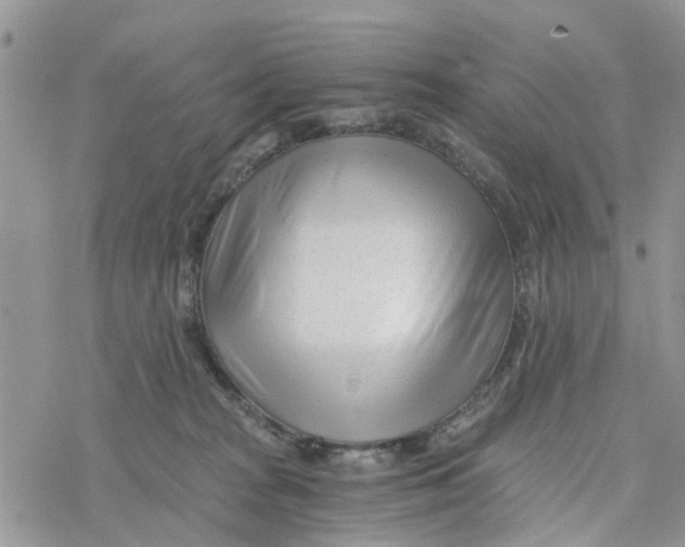 X0000078260277200611251336