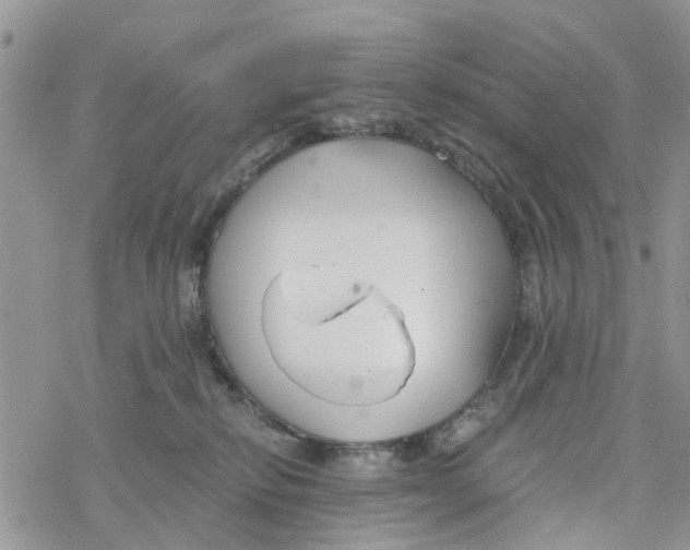 X0000078260278200611251336