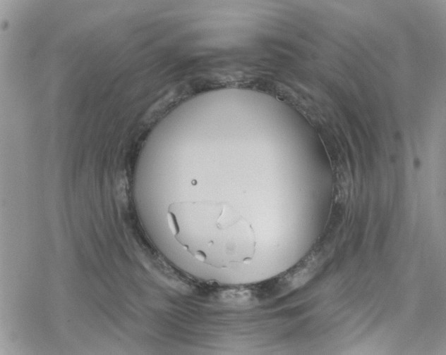 X0000078260279200611251336