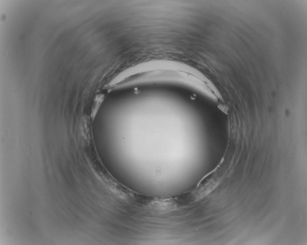 X0000078260280200611251336