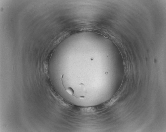 X0000078260281200611251336