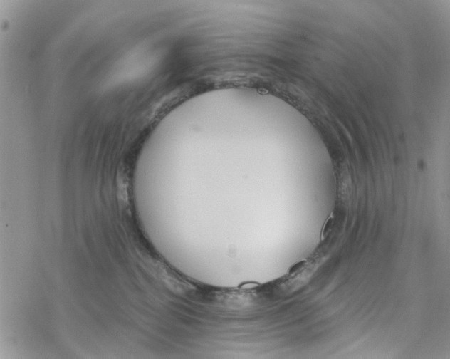 X0000078260282200611251336