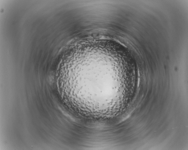 X0000078260284200611251336