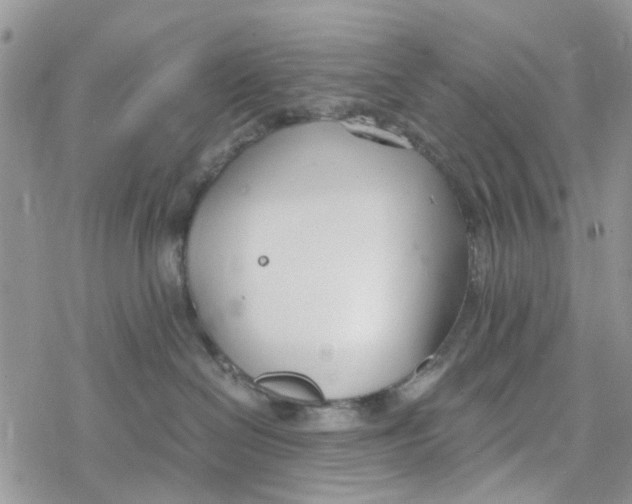 X0000078260286200611251336