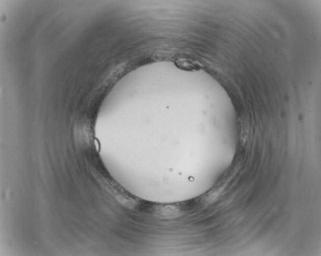 X0000078260287200611251336