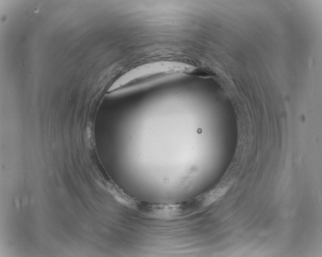 X0000078260288200611251336