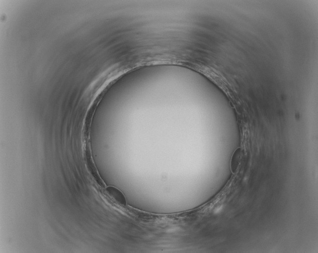 X0000078260290200611251335