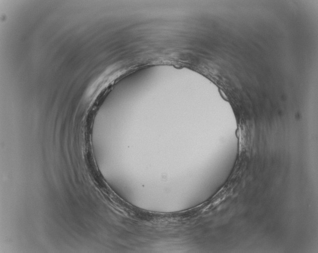 X0000078260291200611251335