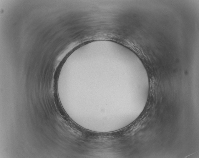 X0000078260292200611251335