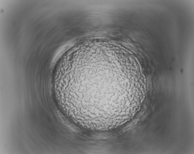 X0000078260293200611251335