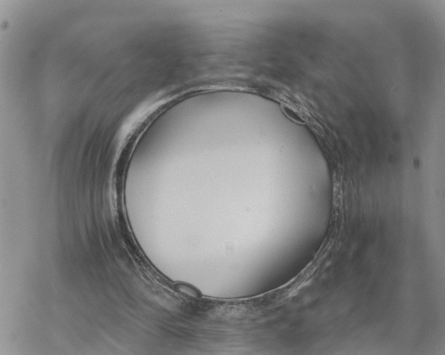 X0000078260294200611251335