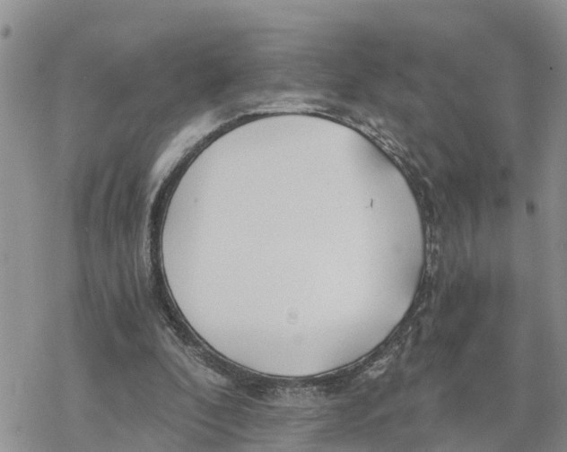 X0000078260296200611251335